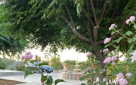 مزرعة النجم Najem Farm