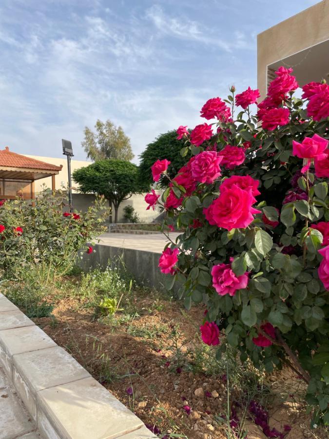 مزرعة النجم Najem Farm Villa Al-Qasr Exterior foto