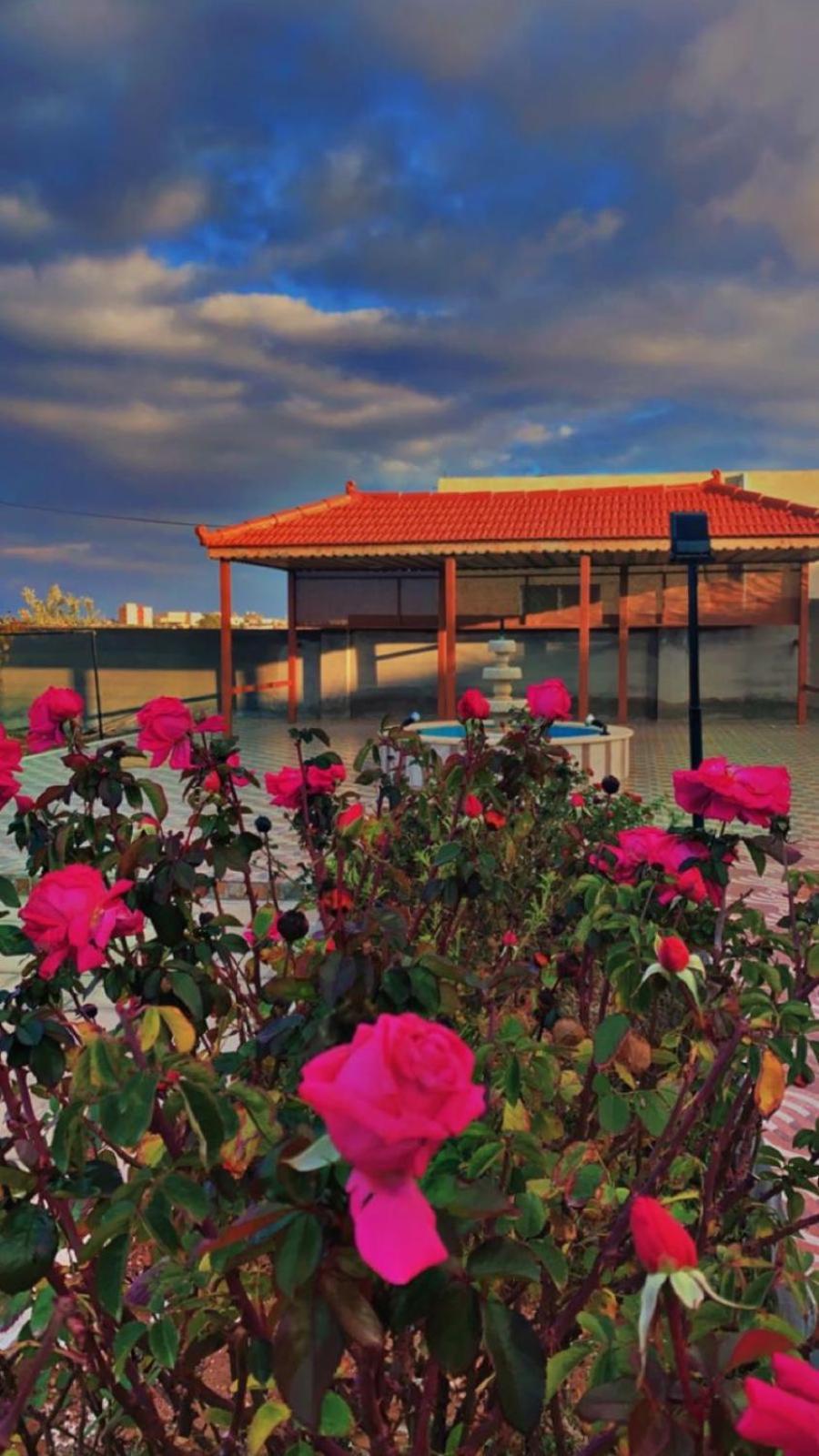 مزرعة النجم Najem Farm Villa Al-Qasr Exterior foto
